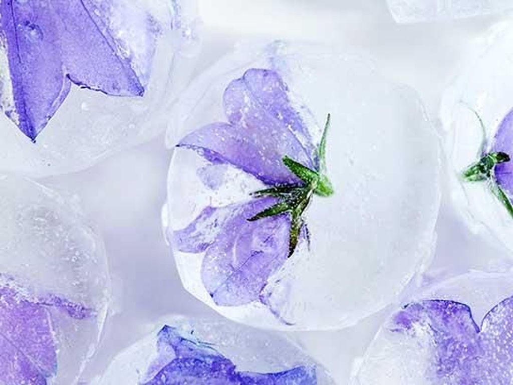 Cantik! Es Batu dengan Tambahan Bunga hingga Buah yang Rasanya Unik