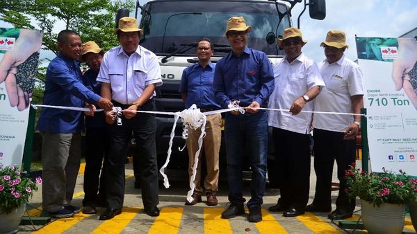 Benih Kangkung Produksi Petani Lokal Mulai Diekspor