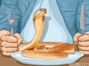 Sensasi Menenggak Darah Kobra