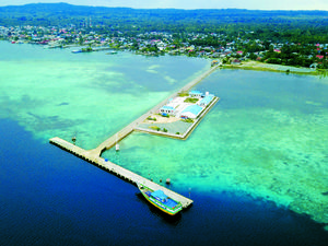 Mau Diatur Jokowi, Ini Pentingnya Perencanaan Tata Ruang Laut