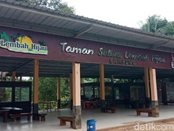 Liburan Natal di Lampung, Lihat Gajah di Taman Satwa Lembah Hijau
