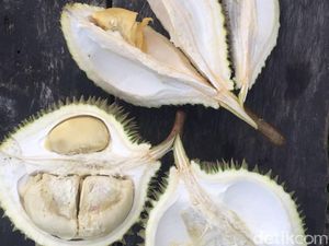 Lezatnya Tiada Dua, Durian Tembaga Asal Siak Riau