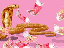 Untung Besar karena Kobra