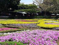 Biar Mama Senang di Hari Ibu, Ajak Liburan ke 5 Taman Cantik Ini