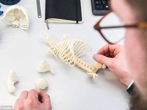 Objek Unik Cetakan Printer 3D, dari Bayi Hingga Suara Tawa