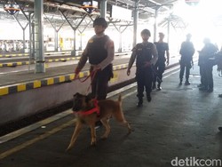 Antisipasi Teror Nataru, Anjing Pelacak Disiapkan di Stasiun Tugu