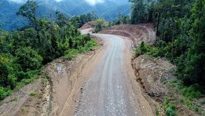 Wow, Jokowi Bangun Jalan Meliuk Tembus Belantara Papua