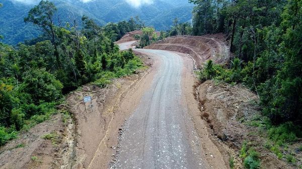 Wow, Jokowi Bangun Jalan Meliuk Tembus Belantara Papua