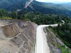 Jalan Trans Papua dan Jembatan Holtekamp Tak Terganggu Gempa Jalan Trans Papua dan Jembatan Holtekamp Tak Terganggu Gempa