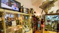 Foto: Museum Paling Aneh, Nomor 9 Bikin Cewek Ngeri