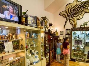 Foto: Museum Paling Aneh, Nomor 9 Bikin Cewek Ngeri