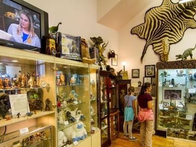 Foto: Museum Paling Aneh, Nomor 9 Bikin Cewek Ngeri