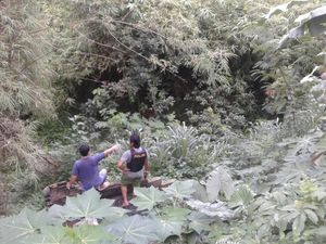 Polisi Tembak Spesial Curanmor di Tangsel, 1 Pelaku Terjun ke Sungai