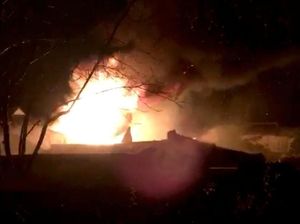 Foto: Kobaran Api yang Membakar Kebun Binatang London