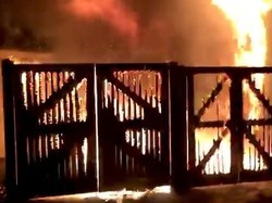 Kebakaran di Kebun Binatang London, Seekor Beruang Semut Hilang