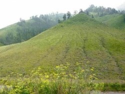 Beginilah Keindahan Bukit Teletubbies di Bromo
