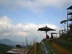 Liburan ke Magelang, Yuk Ke Gardu Pandang Silancur