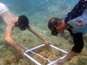 Melihat Aktivitas Siswa Sekolah Pantai Indonesia Garapan Menteri Susi