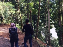 Menjelajahi Hutan Taman Nasional Gunung Gede Pangrango