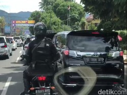 Ke Taman Safari, Jokowi Lihat Giant Panda dan Hewan Lainnya