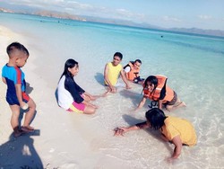 Liburan Natal, Berenang Bareng Bintang Laut Yuk!