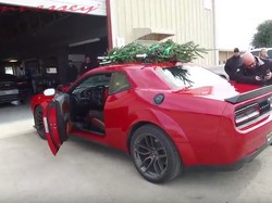 Bisa Gerak sampai 284 Km/Jam, Ini Pohon Natal Tercepat Dunia