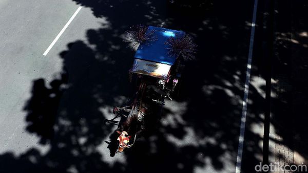 Serunya Naik Delman Keliling Monas