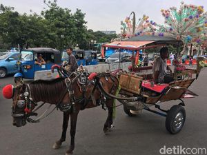 Izinkan Delman di Monas, Sandi Koordinasi Kesehatan Kuda ke JAAN Izinkan Delman di Monas, Sandi Koordinasi Kesehatan Kuda ke JAAN