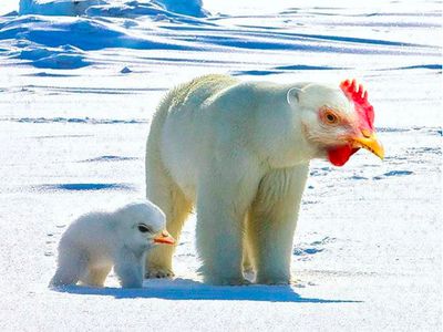 Imajinasi Kawin Silang Hewan Ini Bikin Ngakak
