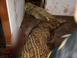 Diduga Depresi, Seorang Suami di Lumajang Bantai Anak dan Istri