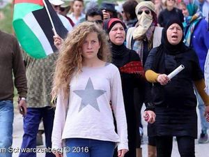 Si Pirang Ahed Tamimi, Gadis Palestina yang Tak Takut Lawan Israel