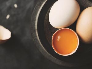 Konsumsi Telur Satu Butir Per Hari Bisa Bikin Anak Lebih Cerdas!