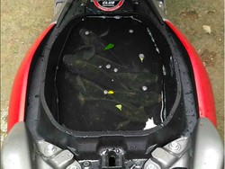 Ada Lagi, Bagasi Nmax Buat Pelihara Ikan Sampai Angkut Durian