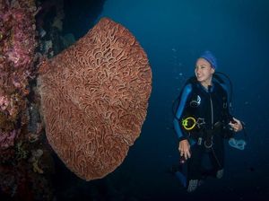 Ditanya Soal Peganiayaan Dimas Anggara, Nadine Chandrawinata Menghindar