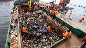 Begini Tumpukan Sampah dari Laut Utara Jakarta