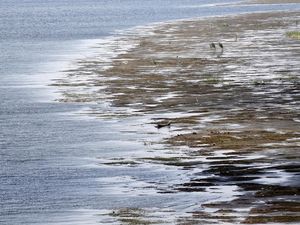 Tutup Pintu untuk Orang Berpaspor Eropa, Mesir Juga Terapkan Jam Malam