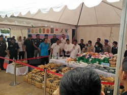 Komjen Buwas Ajak Wiranto Uji Lab Narkoba Sebelum Dimusnahkan