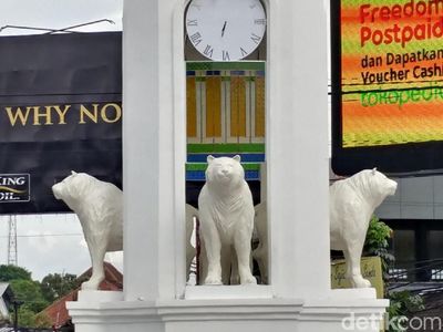 Potret Maung yang Mirip Anjing Laut di 3 Lokasi di Bandung