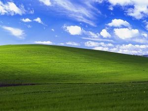 Wallpaper Legendaris Windows XP Ini Harganya Mengejutkan