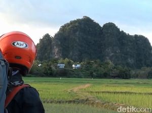 Inilah Lukisan Purbakala di Gua Maros, Sulawesi Selatan