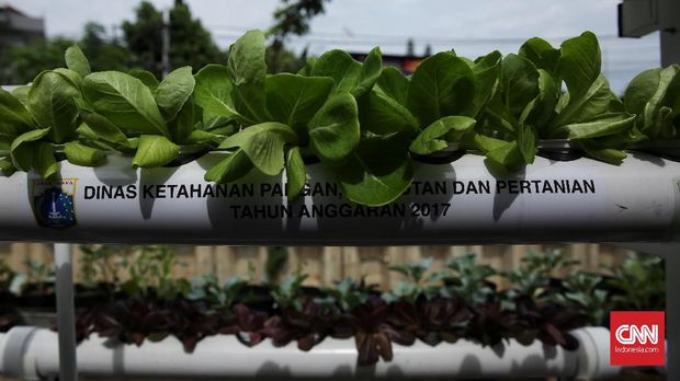 Wacana Amandemen UUD 1945, Nasdem: Jangan Bermain