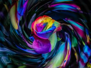 heavens eye