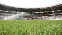 Stadion GBK memiliki rumput berjenis zoysia matrella yang sudah sesuai dengan standar FIFA. (Instagram @love_gbk)