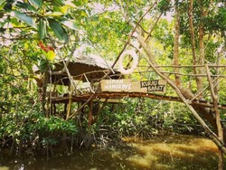 Bangka Juga Punya Hutan Mangrove Kekinian