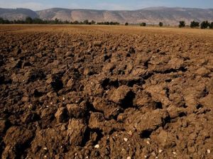 Potret Kekeringan di Israel hingga Warganya Doa Minta Hujan