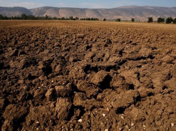 Potret Kekeringan di Israel hingga Warganya Doa Minta Hujan