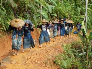 Mengenal Suku Baduy, yang Warganya Jadi Korban Pemerkosaan Mengenal Suku Baduy, yang Warganya Jadi Korban Pemerkosaan
