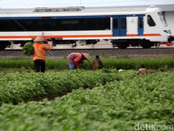 Kok Bisa Tiket Kereta Bandara Soetta Sudah Ludes dari Pagi?