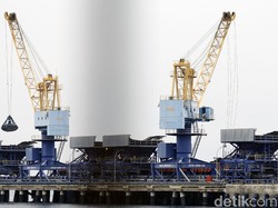 Harga Batu Bara untuk Listrik US$ 70/Ton, PLN Bisa Hemat Rp 20 T