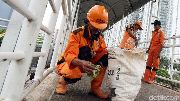 Aksi Pasukan Oranye Bersihkan JPO Casablanca